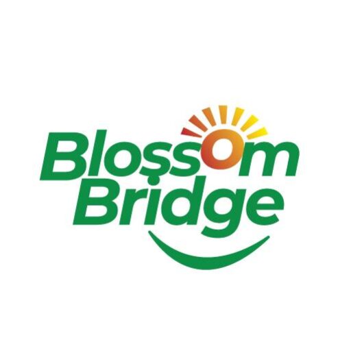 https://blossombridgeltd.com